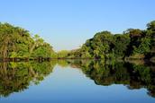 congresso-integrado-do-amazonas