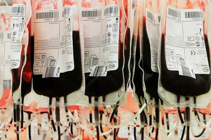 doe-sangue