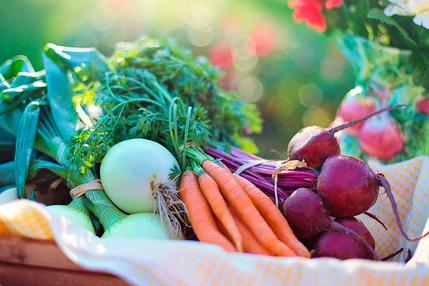 alimentos-para-o-verao