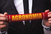 cursos-de-agronomia-sao-os-que-pagam-a-maior-bolsa-auxilio-com-valores-que-chegam-a-r-1-662-01